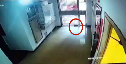 圖片